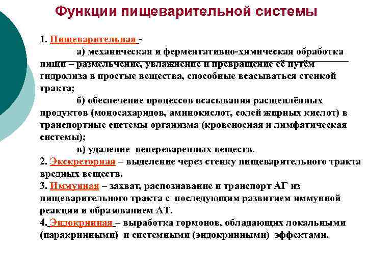 Роль пищеварения. Функции пищеварительной системы кратко. Перечислите основные функции системы пищеварения. Перечислите основные функции пищеварительной системы.. Функции пищеварительной системы человека кратко.