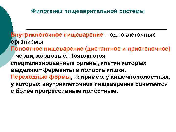 Филогенез пищеварительной системы Внутриклеточное пищеварение – одноклеточные организмы Полостное пищеварение (дистантное и пристеночное) –