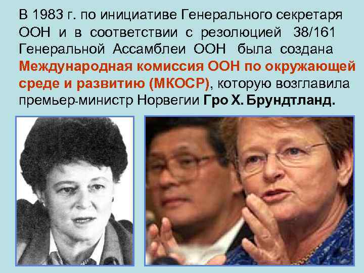 В 1983 г. по инициативе Генерального секретаря ООН и в соответствии с резолюцией 38/161