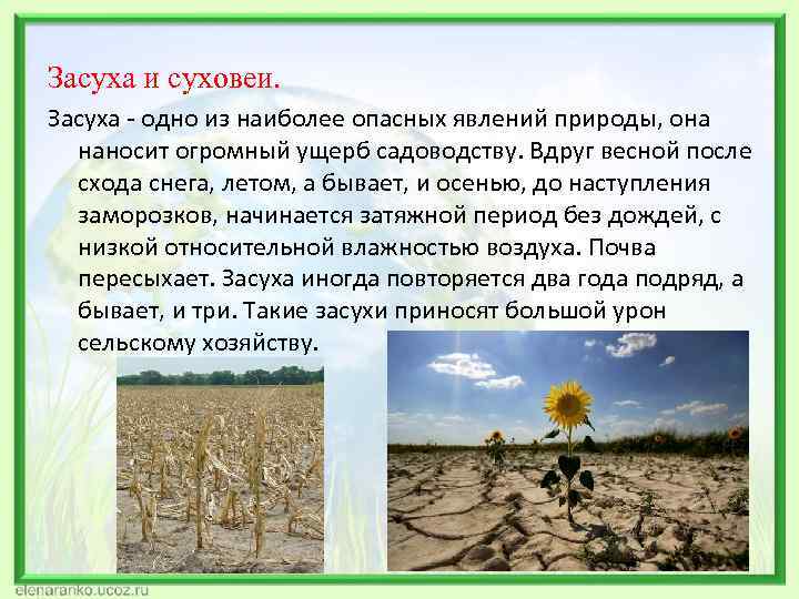 Засуха русский