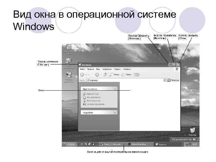 Вид окна в операционной системе Windows 
