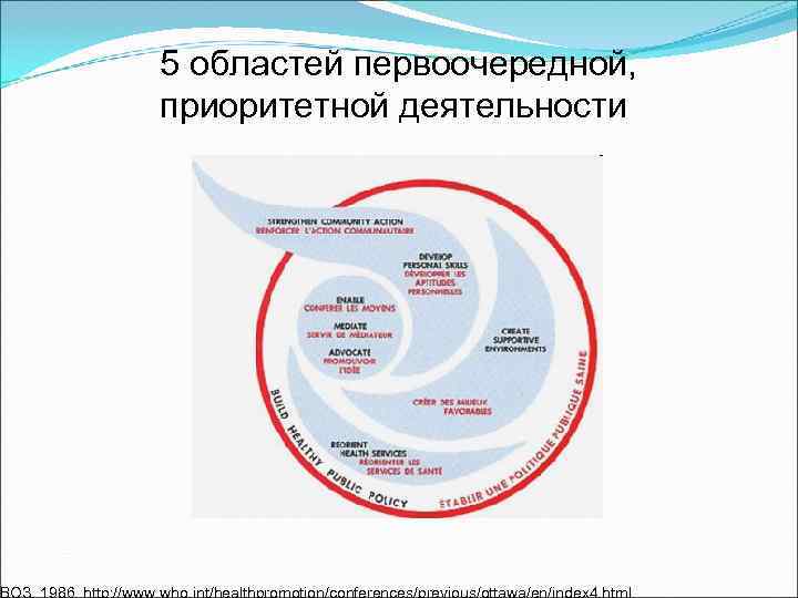 5 областей первоочередной, приоритетной деятельности 