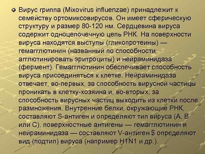 Вирус гриппа (Mixovirus influenzae) принадлежит к семейству ортомиксовирусов. Он имеет сферическую структуру и размер Вирус гриппа (Mixovirus influenzae) принадлежит к семейству ортомиксовирусов. Он имеет сферическую структуру и размер