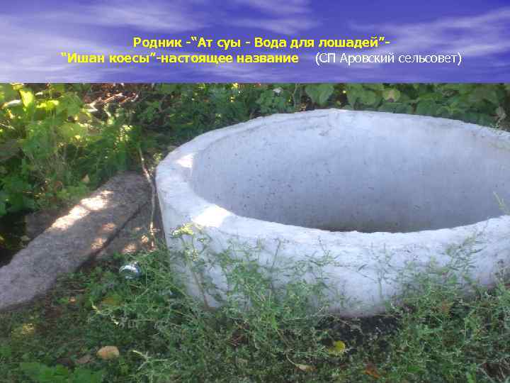 Родник -“Ат суы - Вода для лошадей”“Ишан коесы”-настоящее название (СП Аровский сельсовет) 