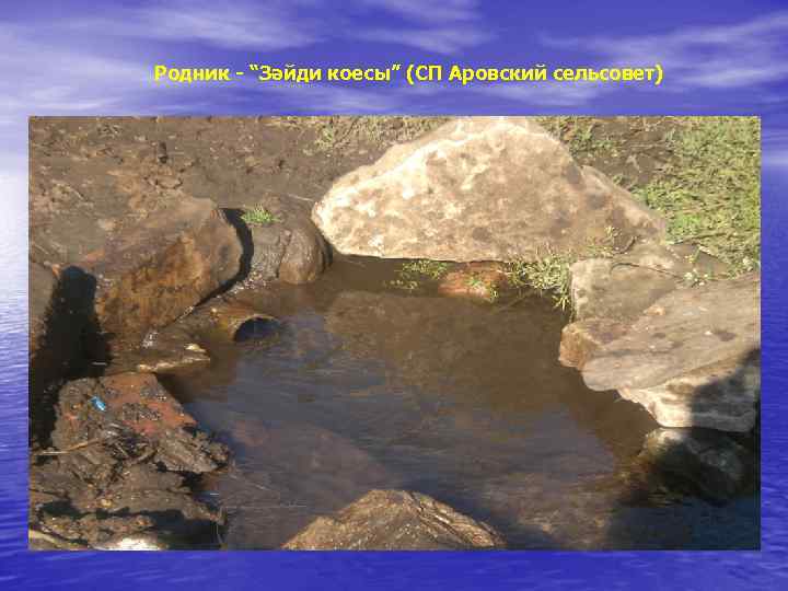 Родник - “Зәйди коесы” (СП Аровский сельсовет) 