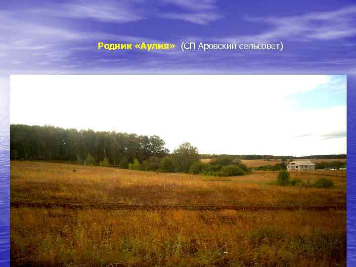 Родник «Аулия» (СП Аровский сельсовет) 