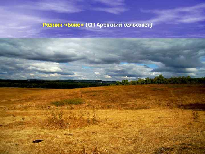 Родник «Боке» (СП Аровский сельсовет) 