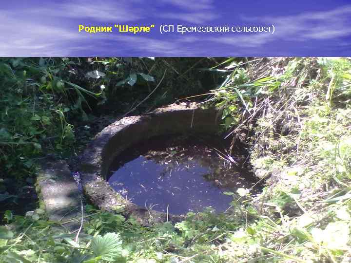 Родник “Шәрле” (СП Еремеевский сельсовет) 