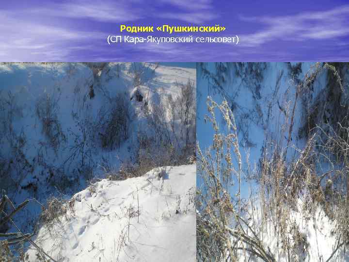 Родник «Пушкинский» (СП Кара-Якуповский сельсовет) 