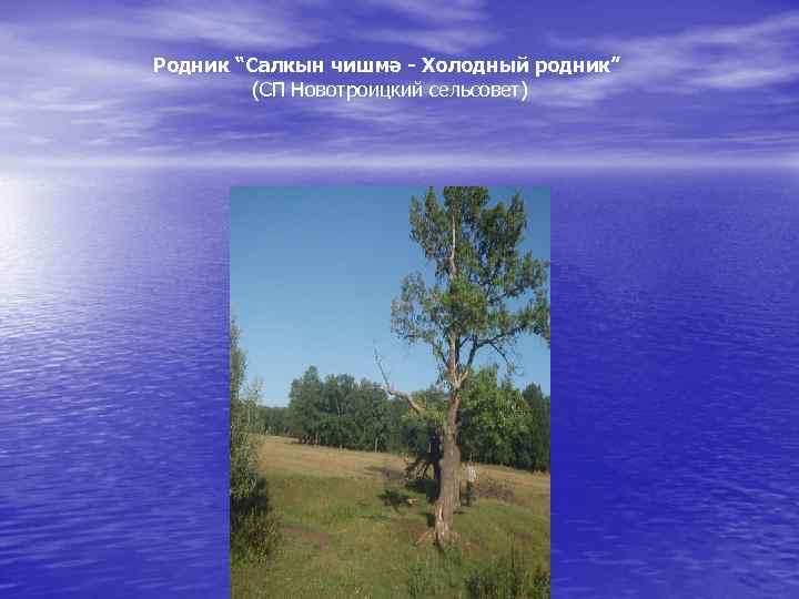 Родник “Салкын чишмә - Холодный родник” (СП Новотроицкий сельсовет) 