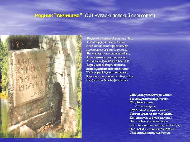  Родник “Акчишмә” (СП Чувалкиповский сельсовет) Баҫыу уйһыуында Аҡшишмә бар, Парлап үҫә тәлгәш ҡайыны,