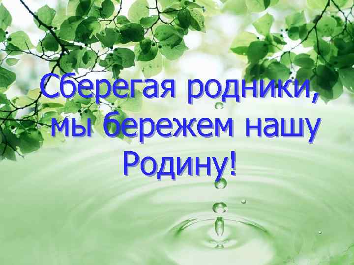 Сберегая родники, мы бережем нашу Родину! 