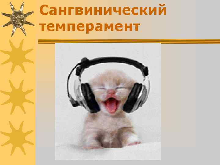 Сангвинический темперамент Сангвинический темперамент