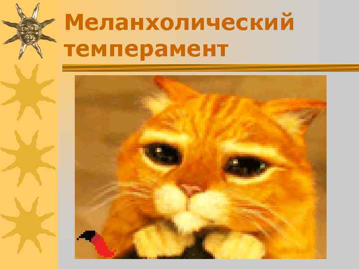 Меланхолический темперамент Меланхолический темперамент