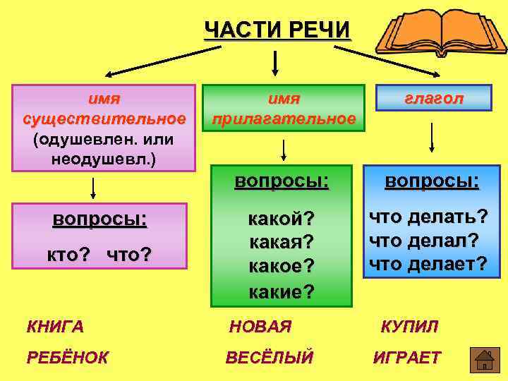 ЧАСТИ РЕЧИ вопросы: кто? что? имя прилагательное глагол вопросы: имя существительное (одушевлен. или неодушевл.