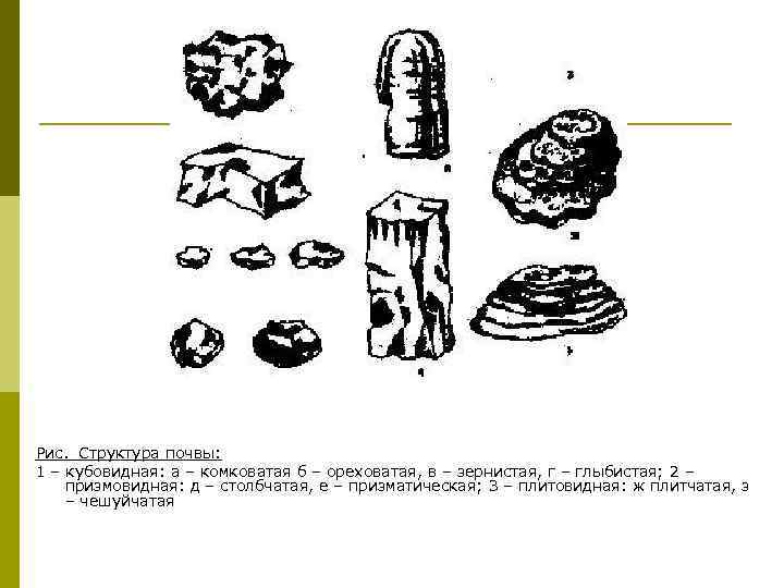 Рис.  Структура почвы: 1 – кубовидная: а – комковатая б – ореховатая, в