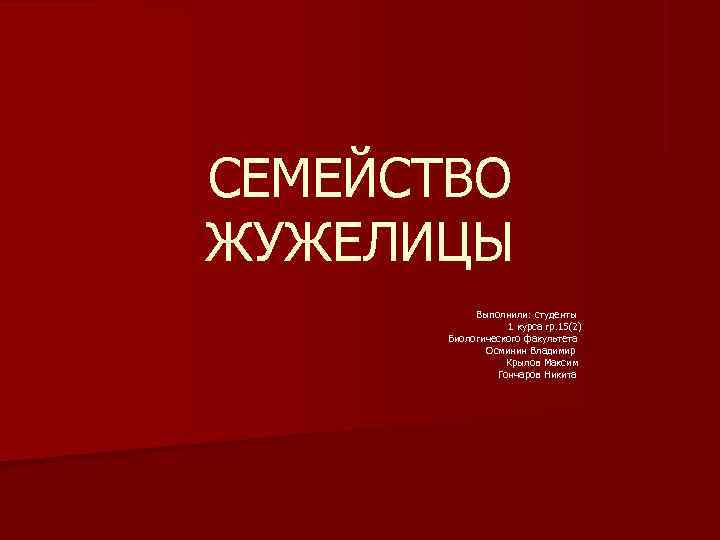     СЕМЕЙСТВО     ЖУЖЕЛИЦЫ    