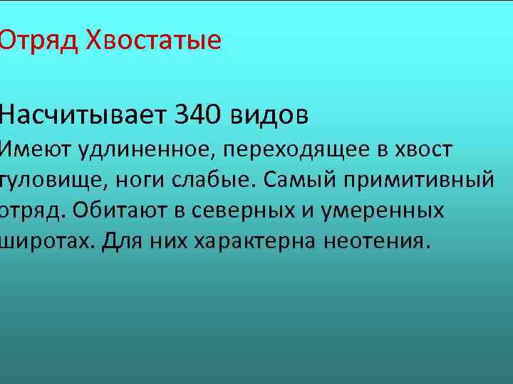 Отряд Хвостатые Насчитывает 340 видов Имеют удлиненное, переходящее в хвост туловище, ноги слабые. Самый