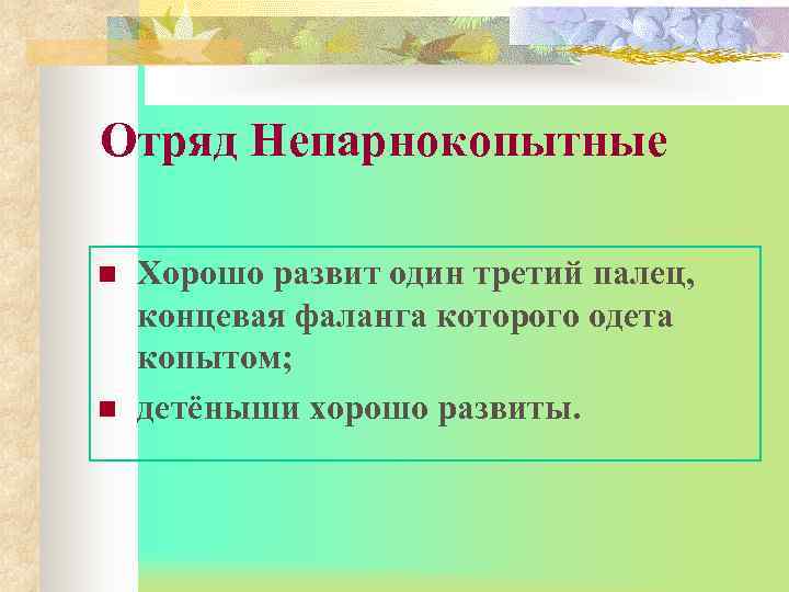 Отряд Непарнокопытные n  Хорошо развит один третий палец, концевая фаланга которого одета копытом;