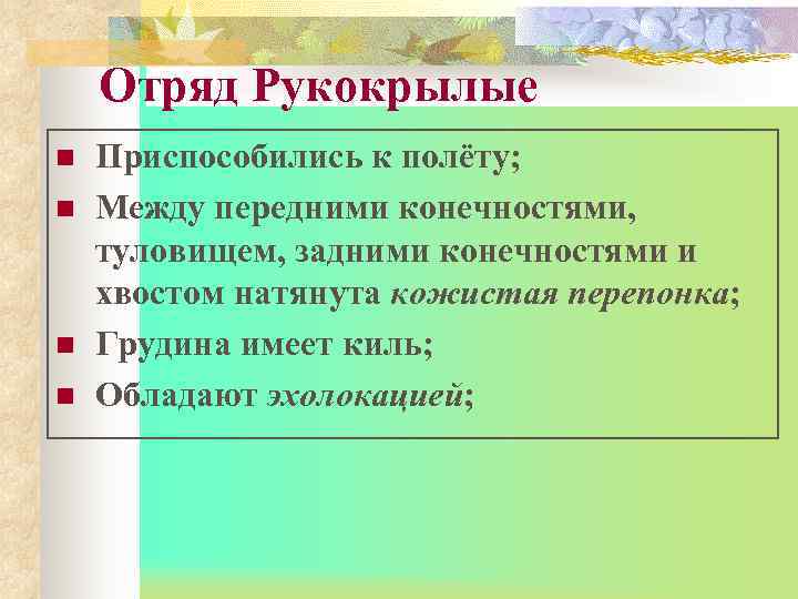   Отряд Рукокрылые n  Приспособились к полёту; n  Между передними конечностями,