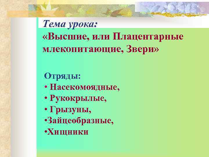 Тема урока:  «Высшие, или Плацентарные млекопитающие, Звери»  Отряды:  • Насекомоядные, 