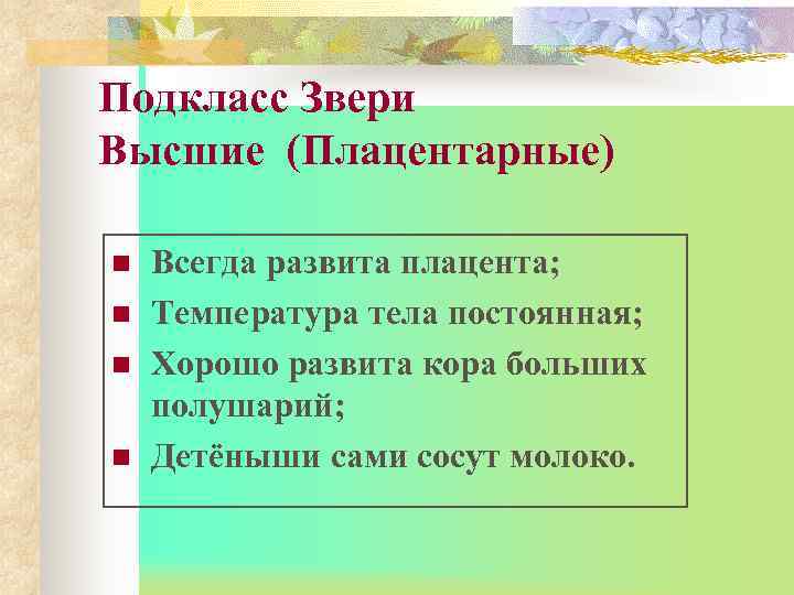 Подкласс Звери Высшие (Плацентарные) n  Всегда развита плацента; n  Температура тела постоянная;