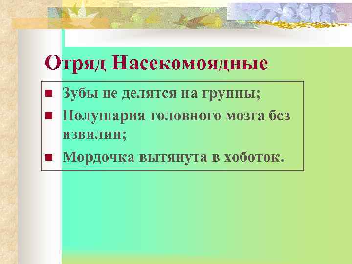 Отряд Насекомоядные n  Зубы не делятся на группы; n  Полушария головного мозга