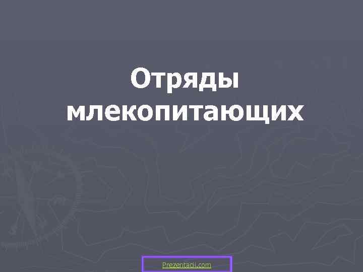   Отряды млекопитающих   Prezentacii. com 