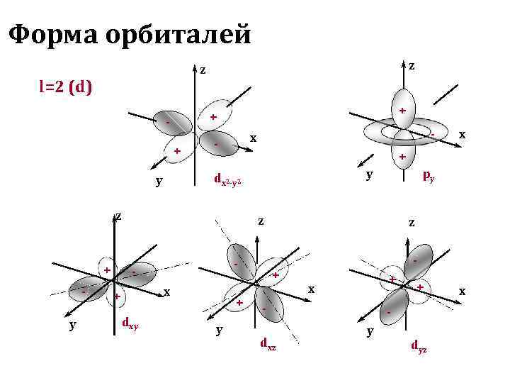 Форма орбиталей        z l=2 (d)  