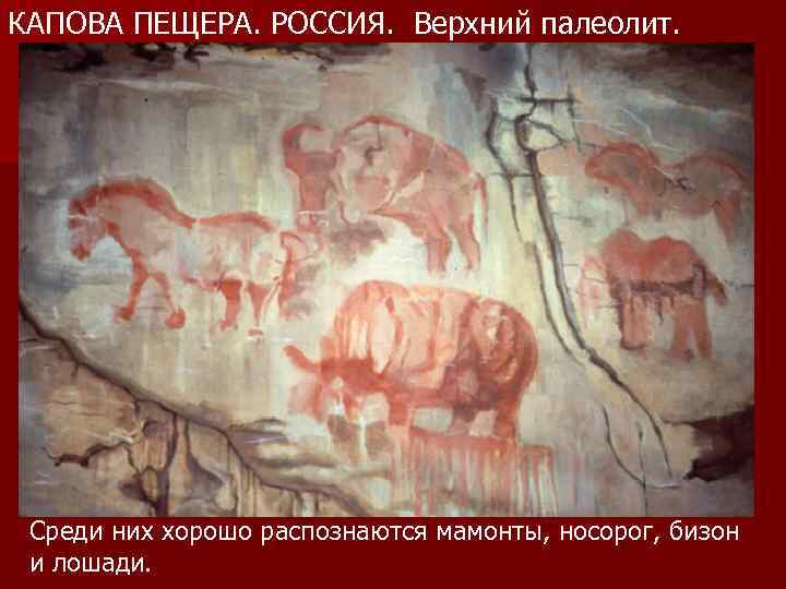 КАПОВА ПЕЩЕРА. РОССИЯ.  Верхний палеолит.  Среди них хорошо распознаются мамонты, носорог, бизон