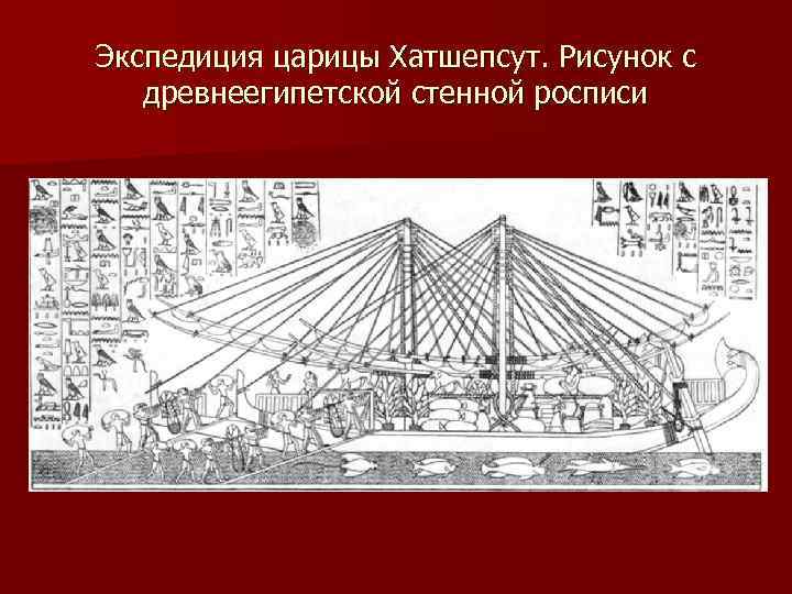 Экспедиция царицы Хатшепсут. Рисунок с древнеегипетской стенной росписи 