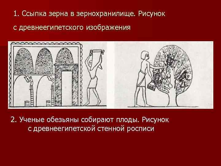 1. Ссыпка зерна в зернохранилище. Рисунок    с древнеегипетского изображения  2.