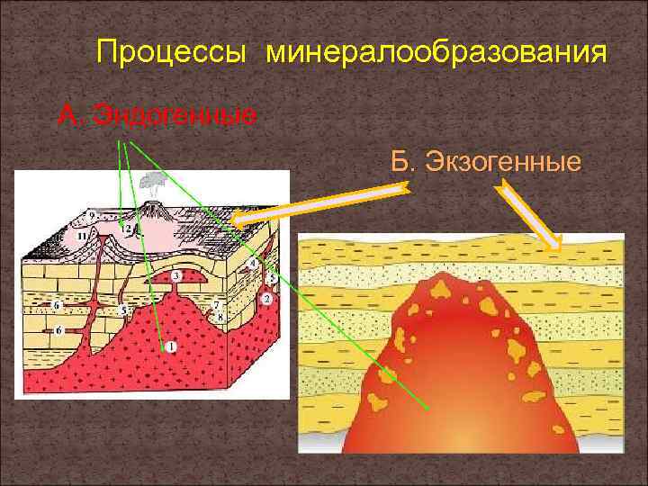  Процессы минералообразования А. Эндогенные    Б. Экзогенные 
