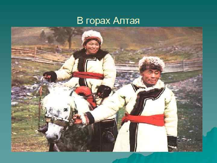 В горах Алтая 