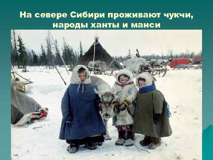 На севере Сибири проживают чукчи,  народы ханты и манси 