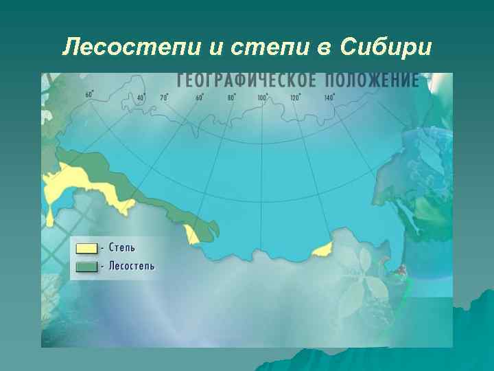 Лесостепи и степи в Сибири 