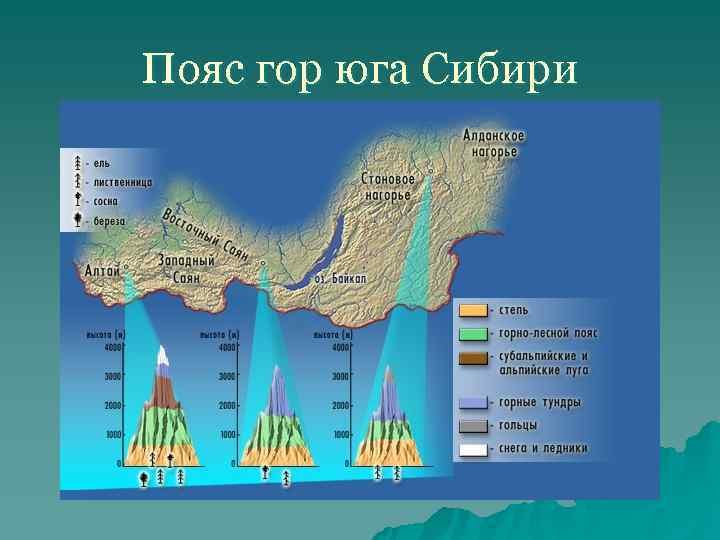 Пояс гор юга Сибири 