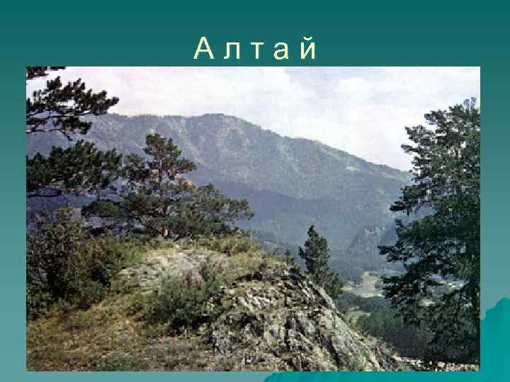 Алтай 