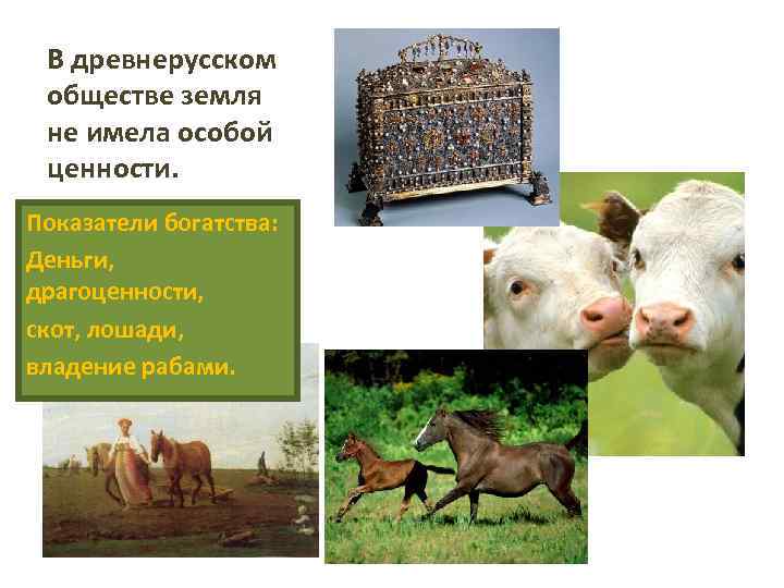  В древнерусском обществе земля не имела особой ценности. Показатели богатства: Деньги, драгоценности, скот,