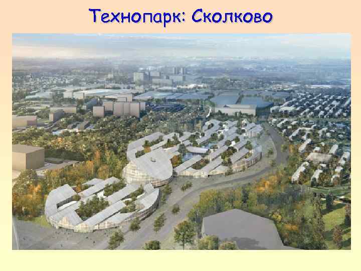 Технопарк: Сколково 