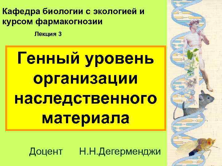 Кафедра биологии с экологией и курсом фармакогнозии  Лекция 3 Генный уровень организации 