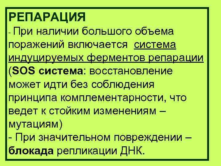 РЕПАРАЦИЯ - Приналичии большого объема поражений включается система индуцируемых ферментов репарации (SOS система: восстановление