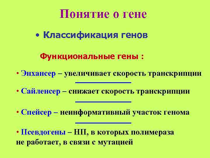    Понятие о гене • Классификация генов  Функциональные гены : 