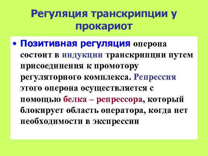   Регуляция транскрипции у  прокариот • Позитивная регуляция оперона  состоит в