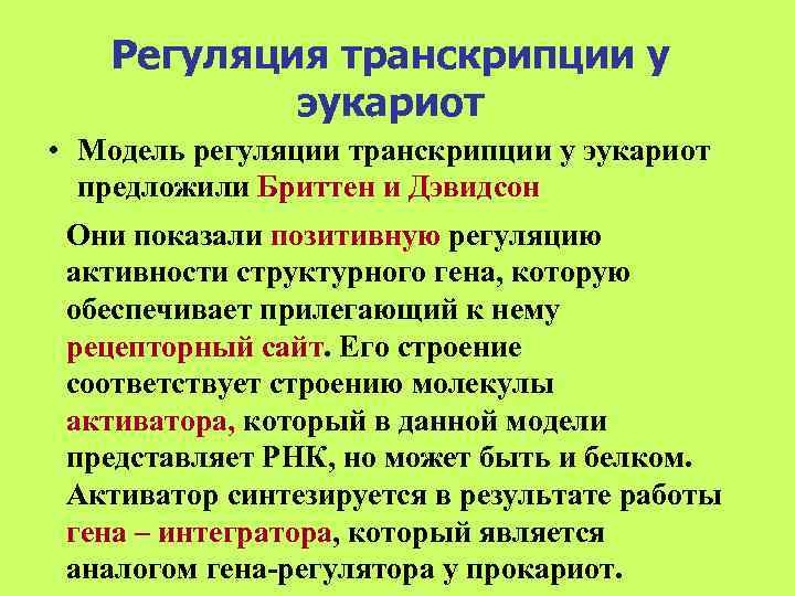   Регуляция транскрипции у   эукариот • Модель регуляции транскрипции у эукариот