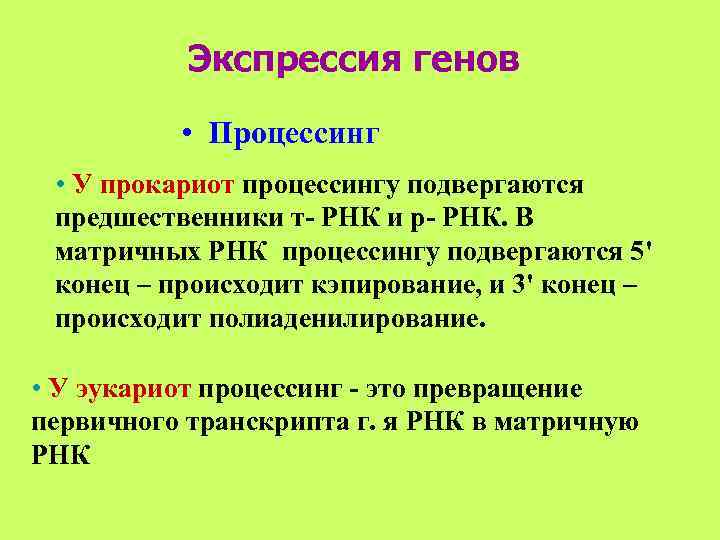   Экспрессия генов  • Процессинг  • У прокариот процессингу подвергаются предшественники