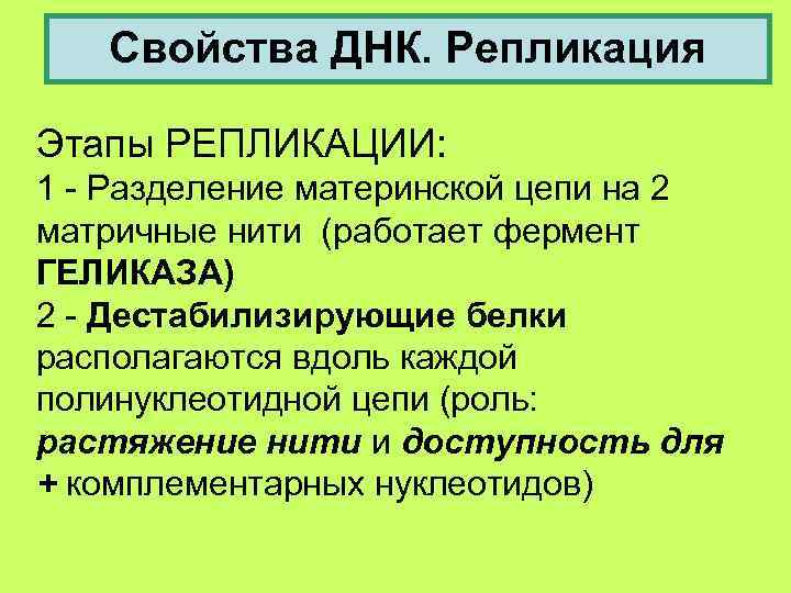   Свойства ДНК. Репликация Этапы РЕПЛИКАЦИИ: 1 - Разделение материнской цепи на 2