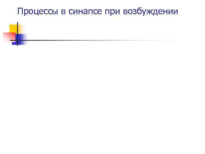 Процессы в синапсе при возбуждении 