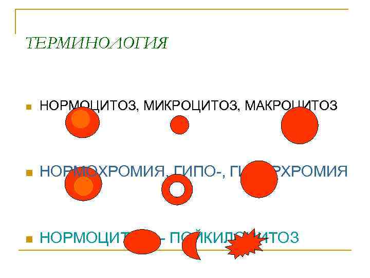 ТЕРМИНОЛОГИЯ n НОРМОЦИТОЗ, МИКРОЦИТОЗ, МАКРОЦИТОЗ n НОРМОХРОМИЯ, ГИПО-, ГИПЕРХРОМИЯ ТЕРМИНОЛОГИЯ n НОРМОЦИТОЗ, МИКРОЦИТОЗ, МАКРОЦИТОЗ n НОРМОХРОМИЯ, ГИПО-, ГИПЕРХРОМИЯ