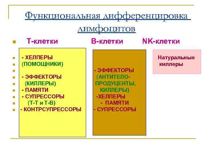 Функциональная дифференцировка лимфоцитов n Т-клетки В-клетки NK-клетки Функциональная дифференцировка лимфоцитов n Т-клетки В-клетки NK-клетки